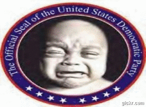 funny pics